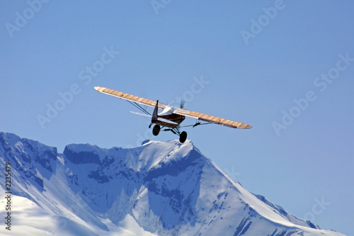 bush pilot
