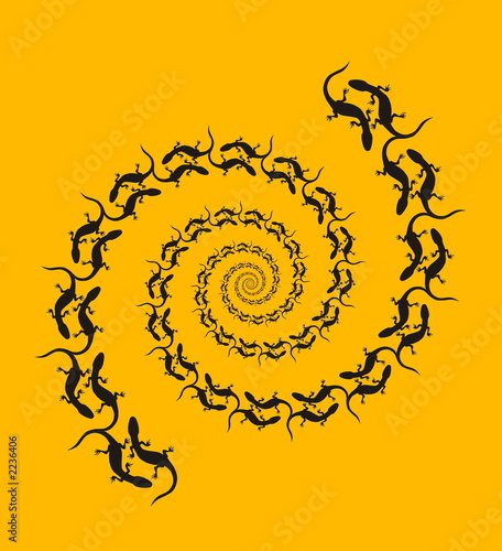 salamander dance