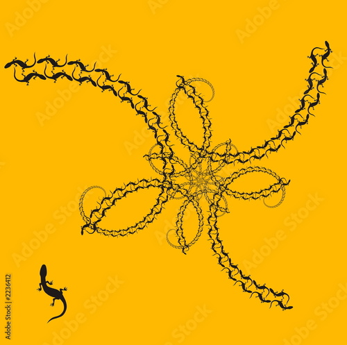 salamander dance