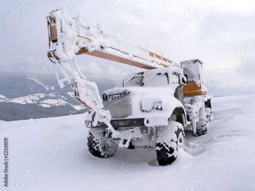 Εκτύπωση καμβά snow crane