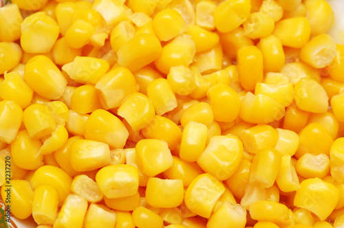 sweet corn kernels arranged as background