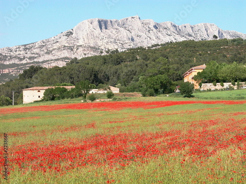 sainte-victoire photo