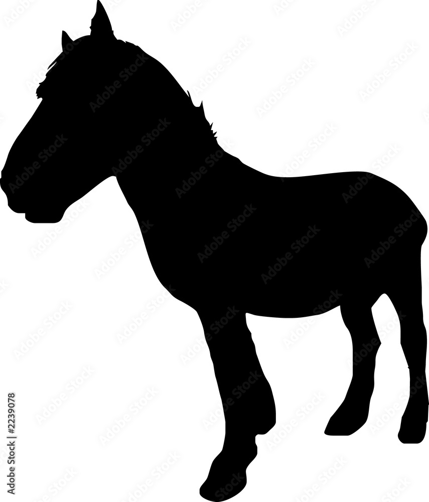 horse