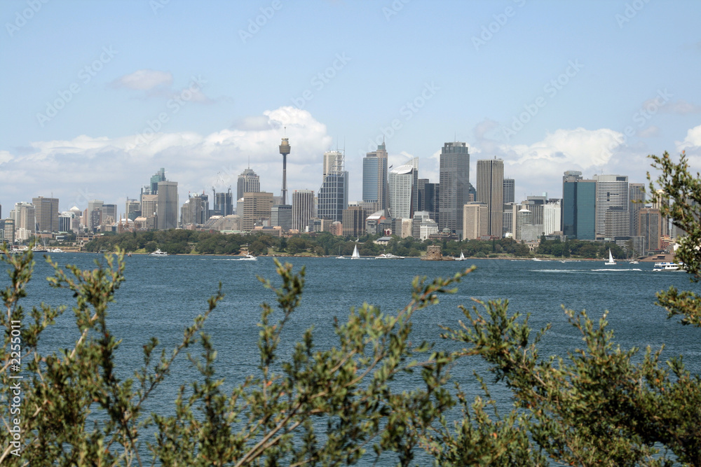Fototapeta premium sydney city landscape