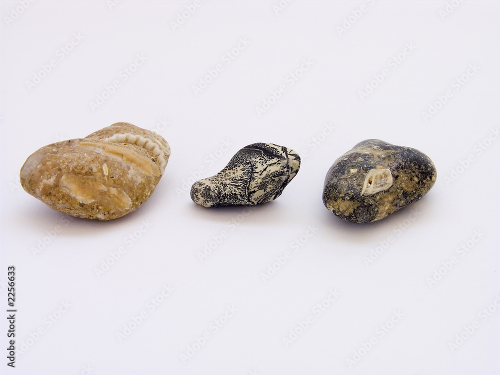 fresh rocks fresh rocks