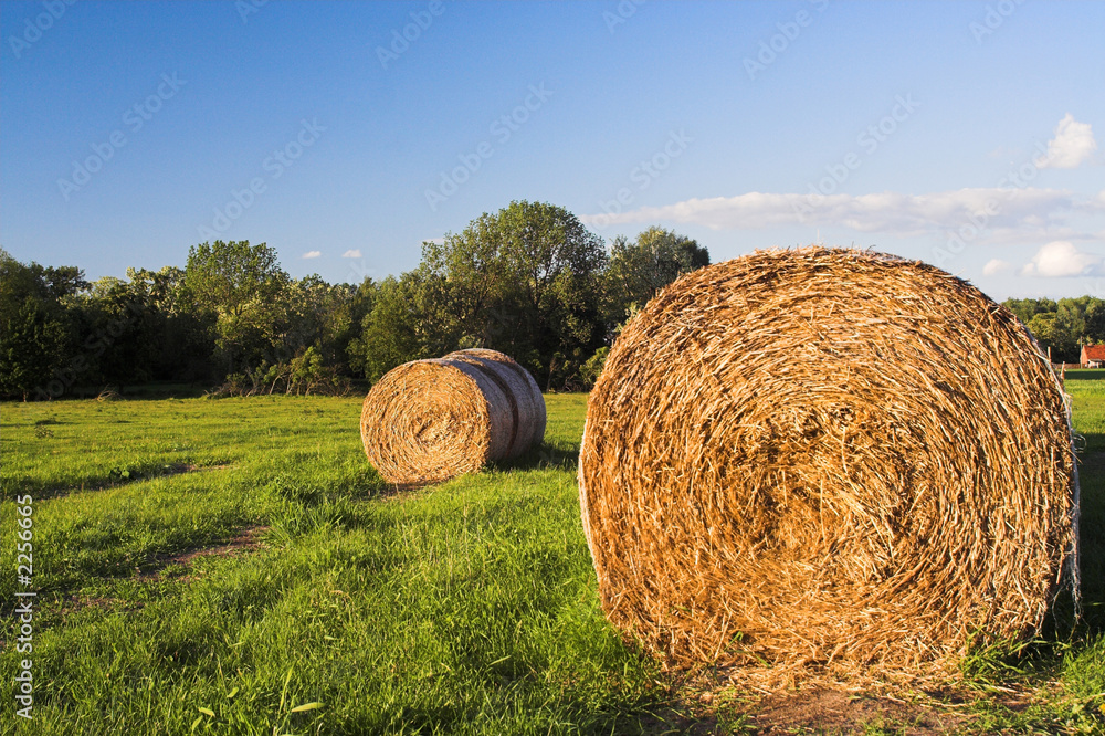 hay bale