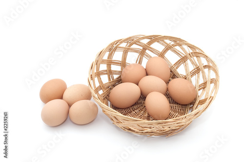 don't put all your eggs in one basket