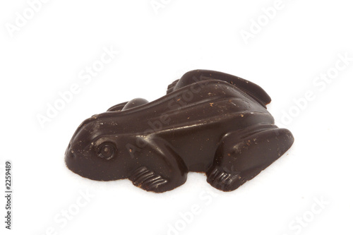 chocolate frog
