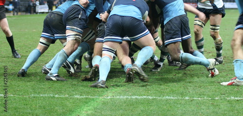 rugby