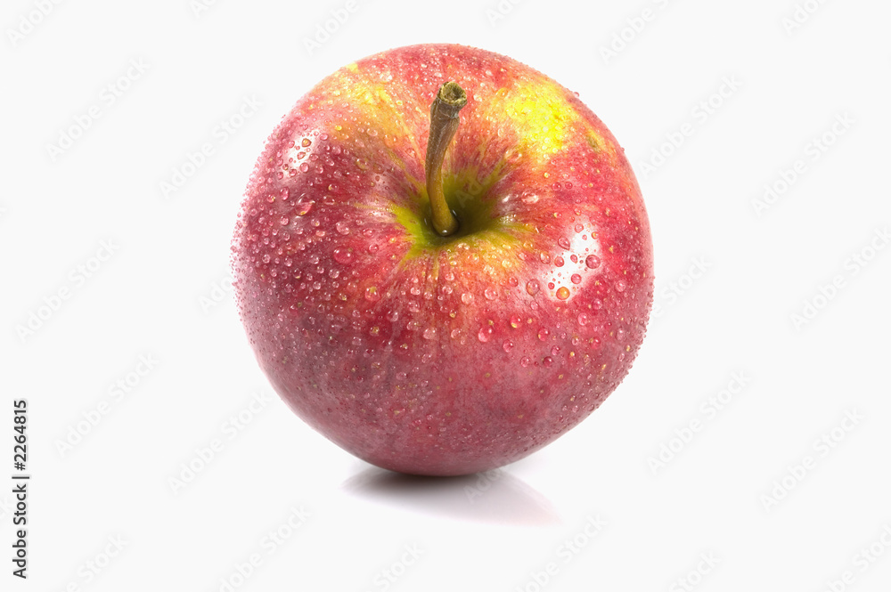 red apple stalk red apple stalk