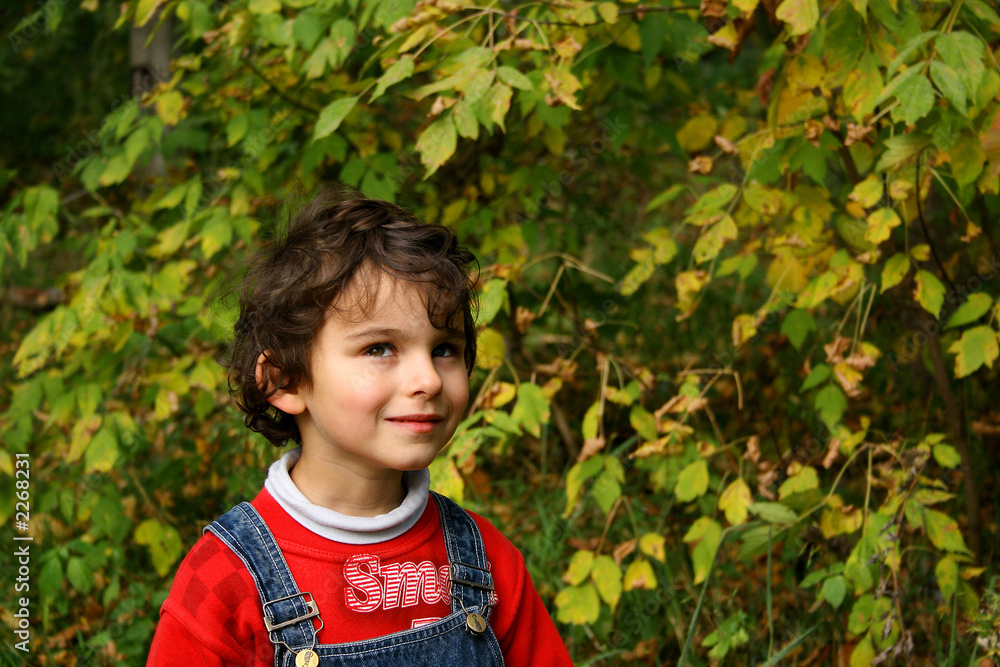 autumn walk. autumn walk.