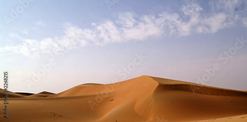 liwa desert 17