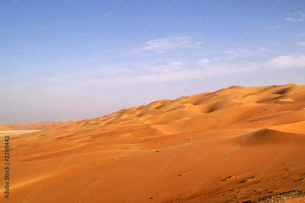 liwa desert 13