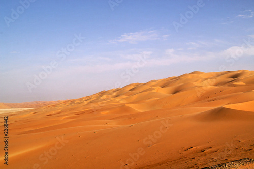 liwa desert 13