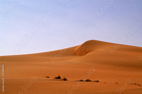 liwa desert 12 © thierry burot