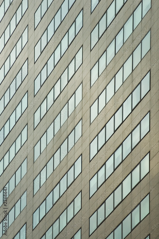 windows of office building windows of office building