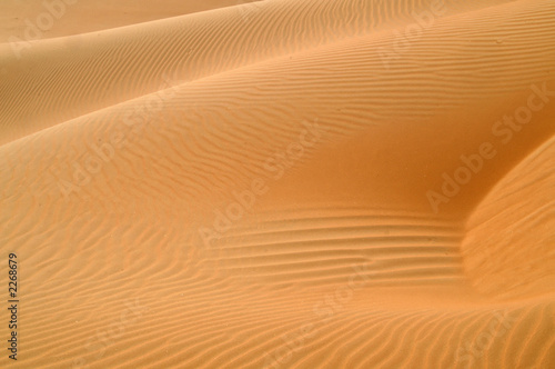 liwa desert  6 © thierry burot