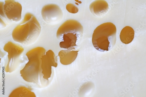 dutch cheese background