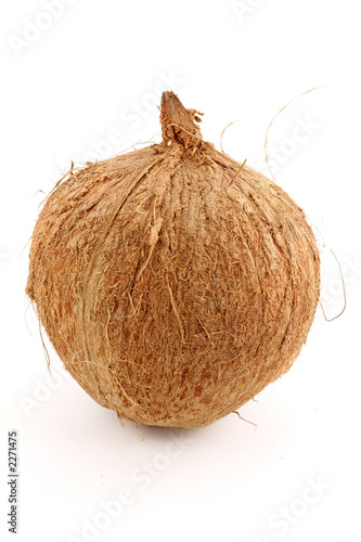an isolated coconut