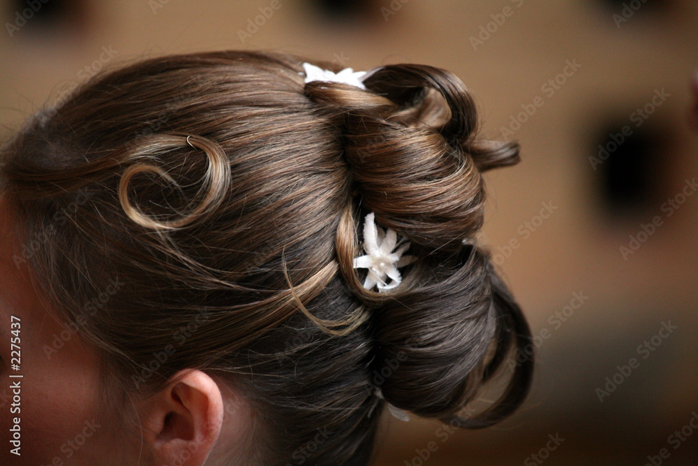 Fototapeta premium chignon
