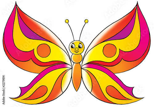 Photography butterfly