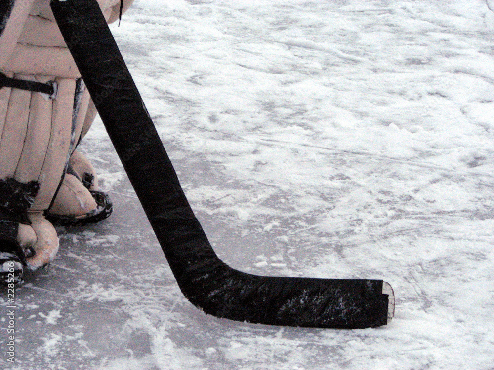 Fototapeta premium goalie stick