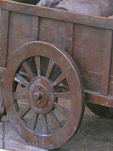 bull cart wheel