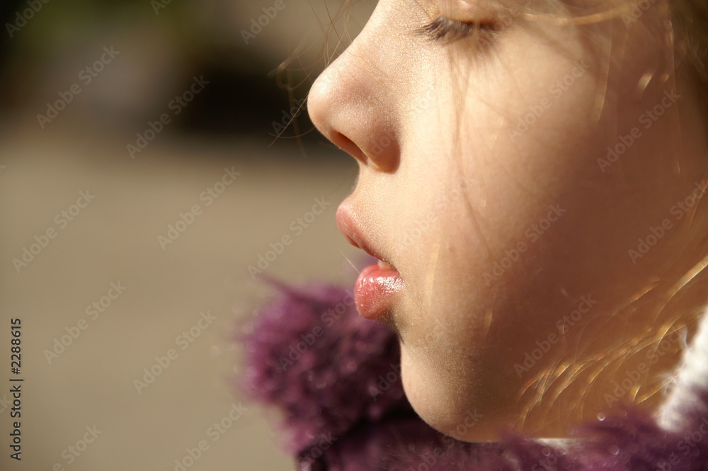 profil profil