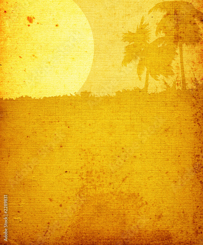 landscape with palm-trees