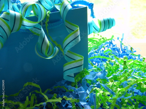 gift bag