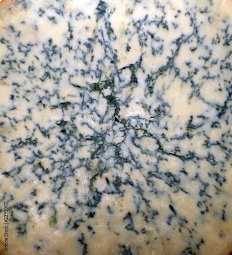 фотографія stilton