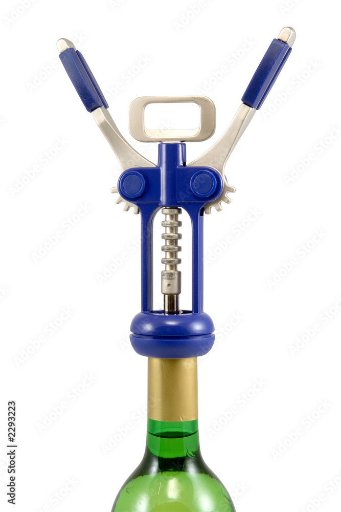 bottle and corkscrew bottle and corkscrew