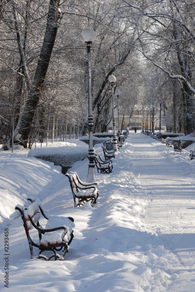 red benches in a park covered with snow