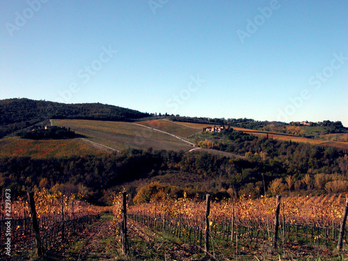 chianti en automne