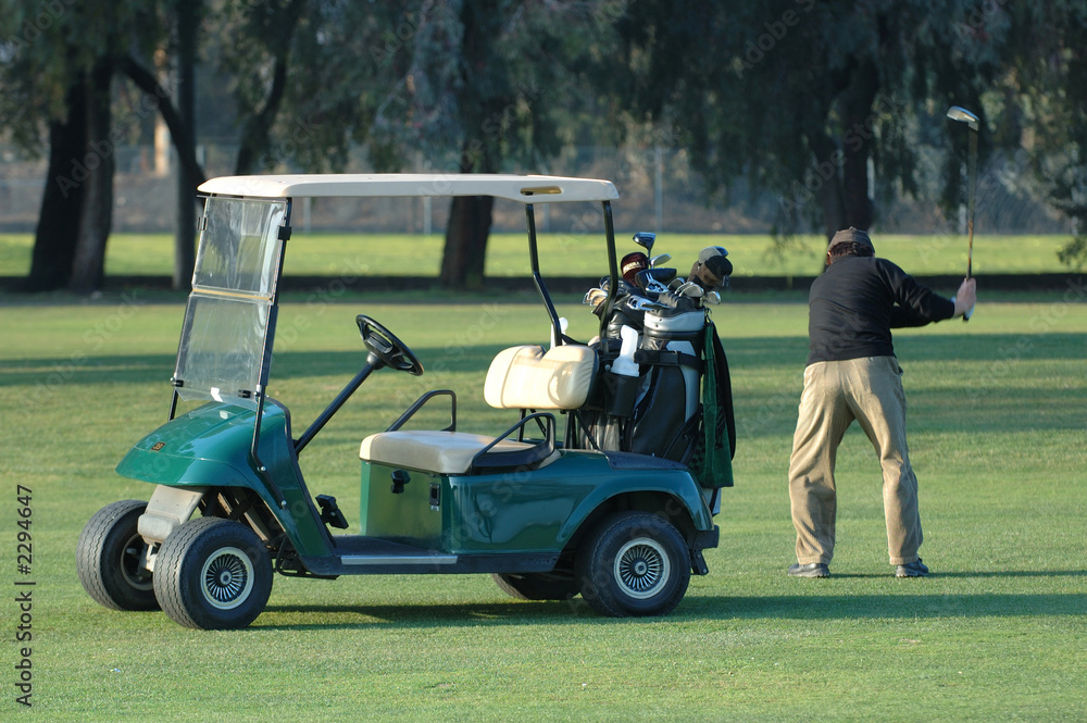 golfer with cart