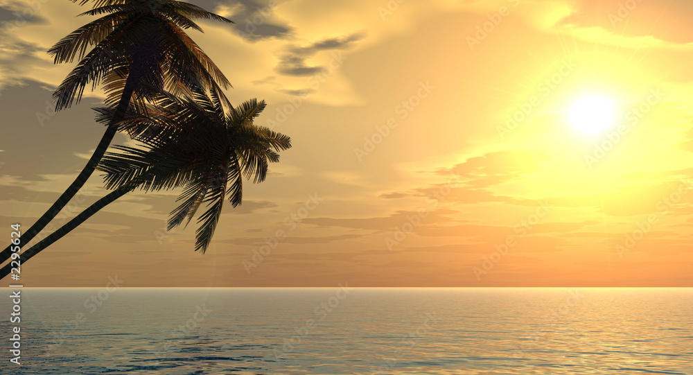 palms_sunset2_p