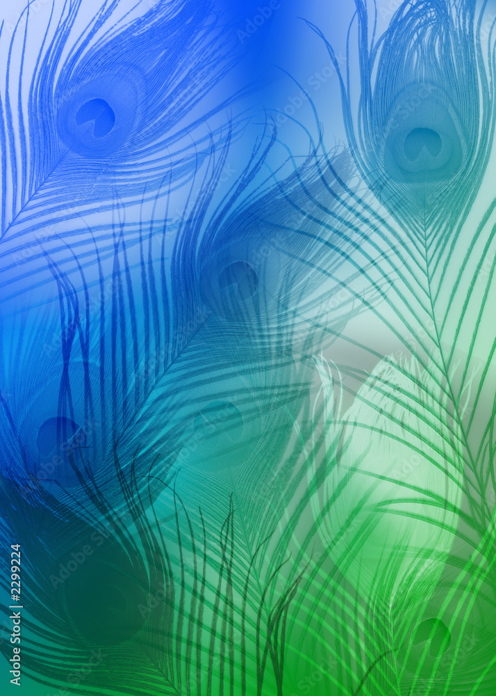 peacock feather background Stock Illustration | Adobe Stock