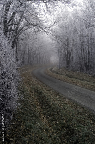 une route en hiver