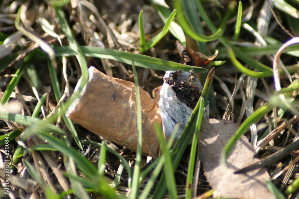 Obraz premium zigaretten stummel