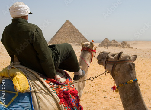 camel rider