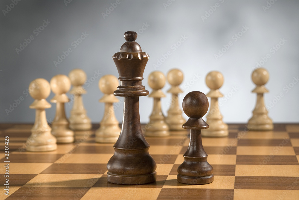  wooden chess game pieces