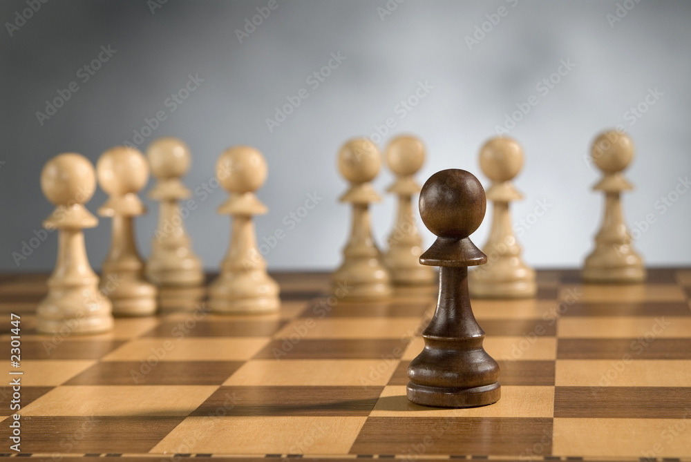  wooden chess game pieces