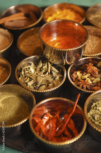  indian spices