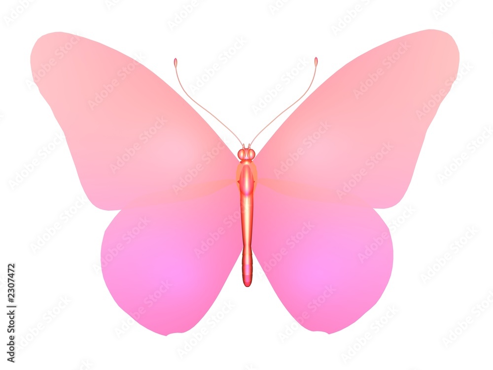 papillon pink butterfly papillon pink butterfly