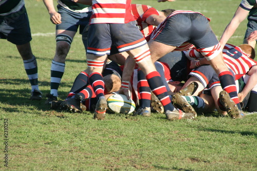 rugby