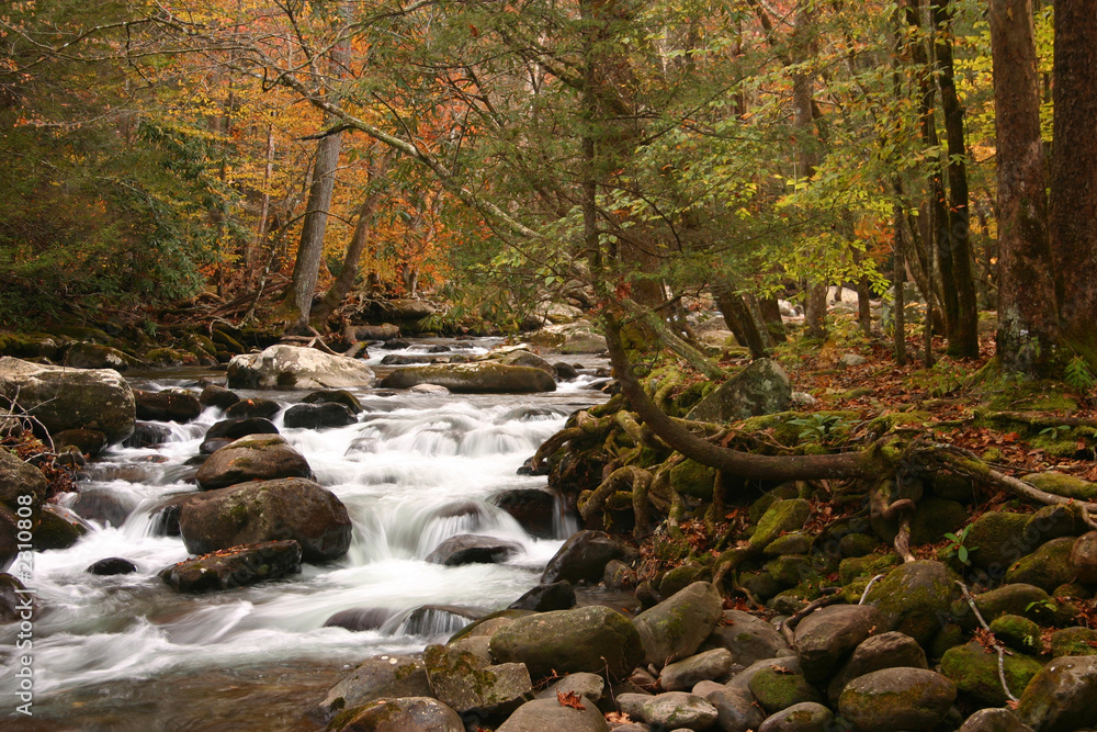 autumn stream in the great smoky mountains