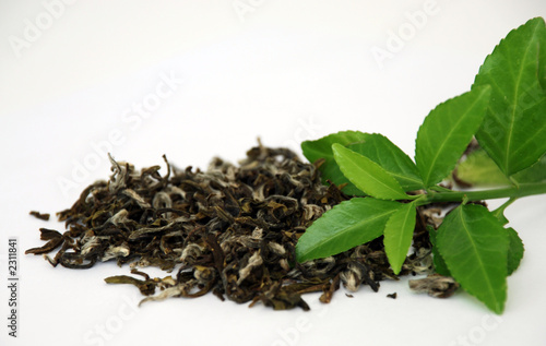 green tea #2311841