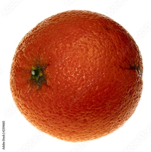 one orange photo