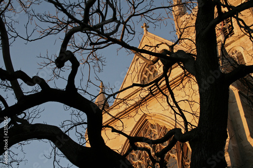 Photos church through tree