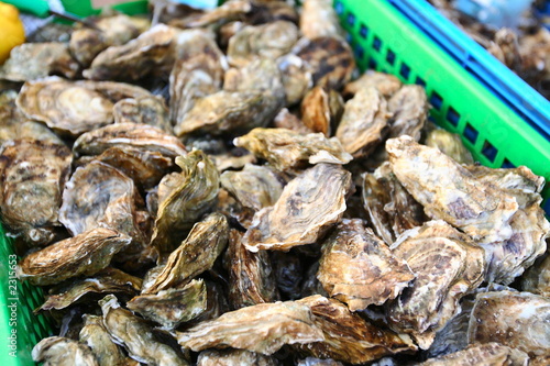 panier d'huîtres